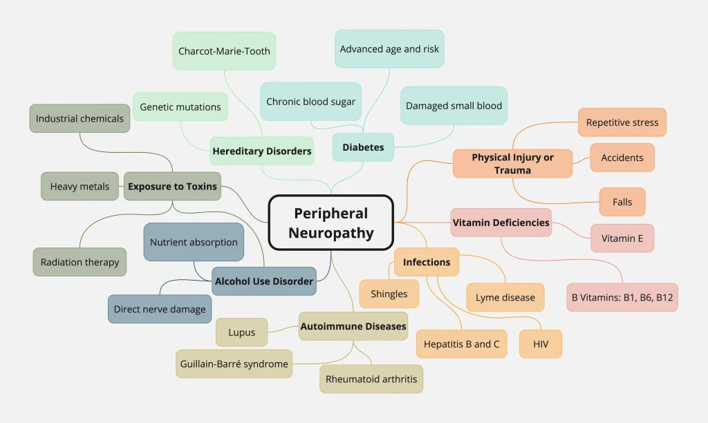 Peripheral Neuropathy Causes