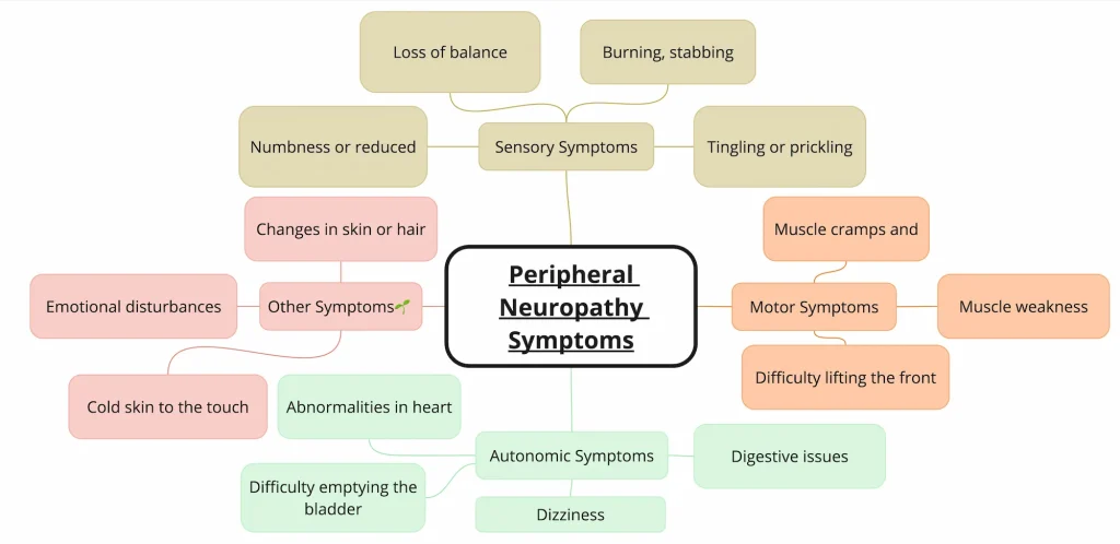 Peripheral Neuropathy Symptoms